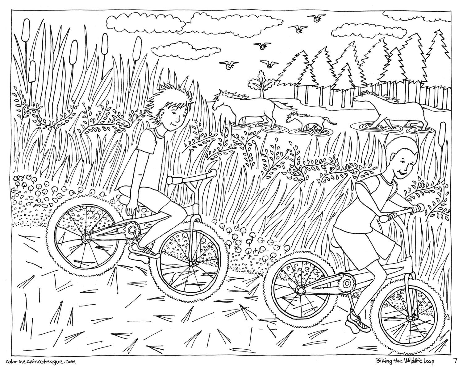 Biking the wildlife loop